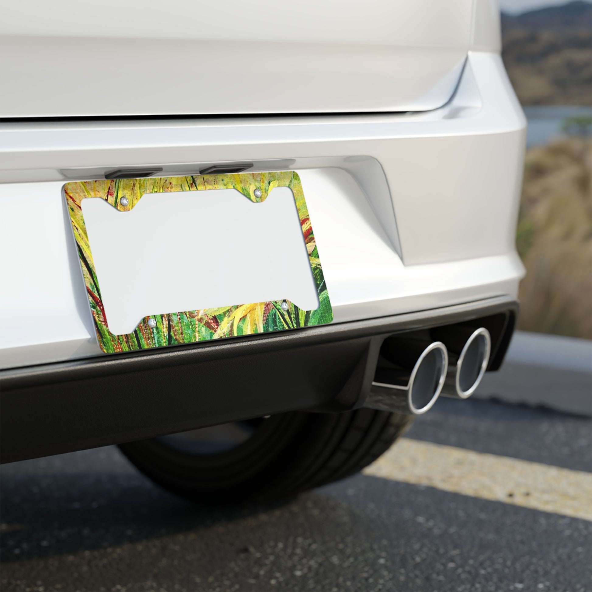 Metal License Plate Frames