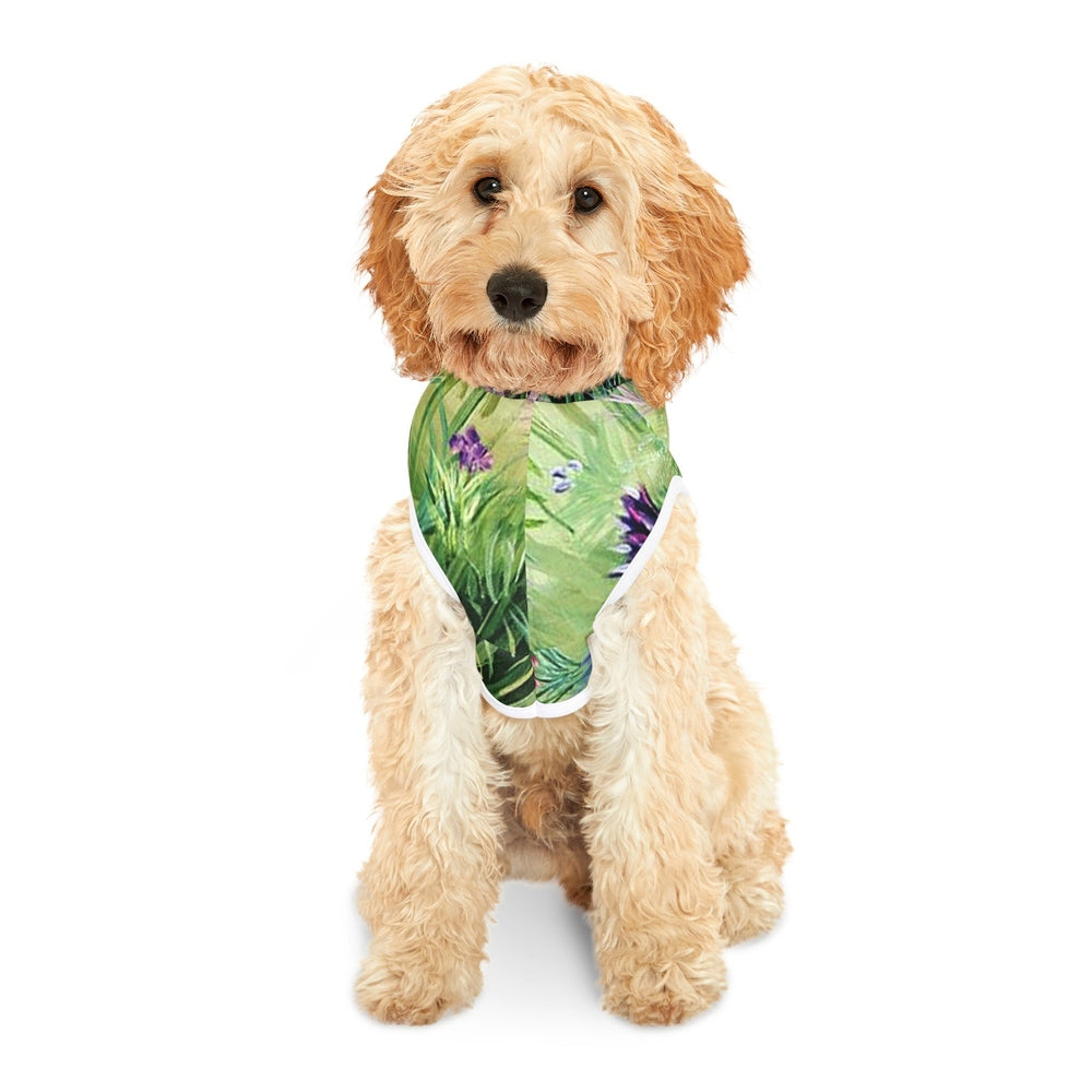 Pet Hoodie