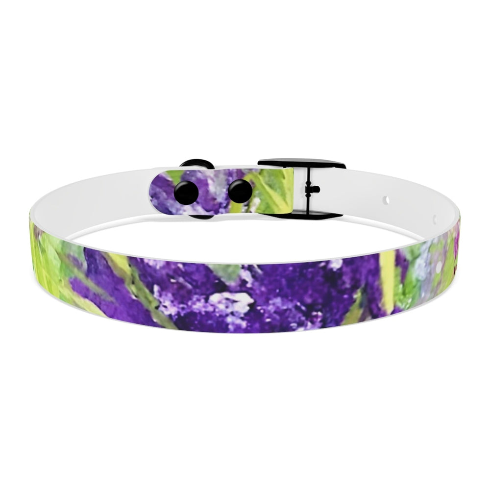 Dog Collar