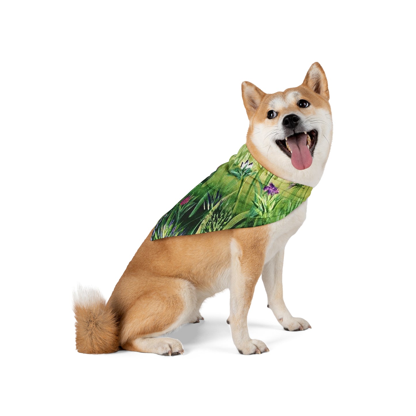 Pet Bandana