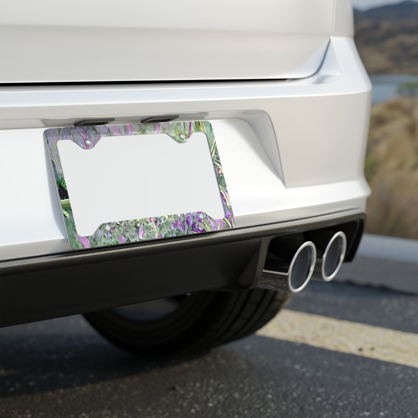 Custom Metal License Plate Frames