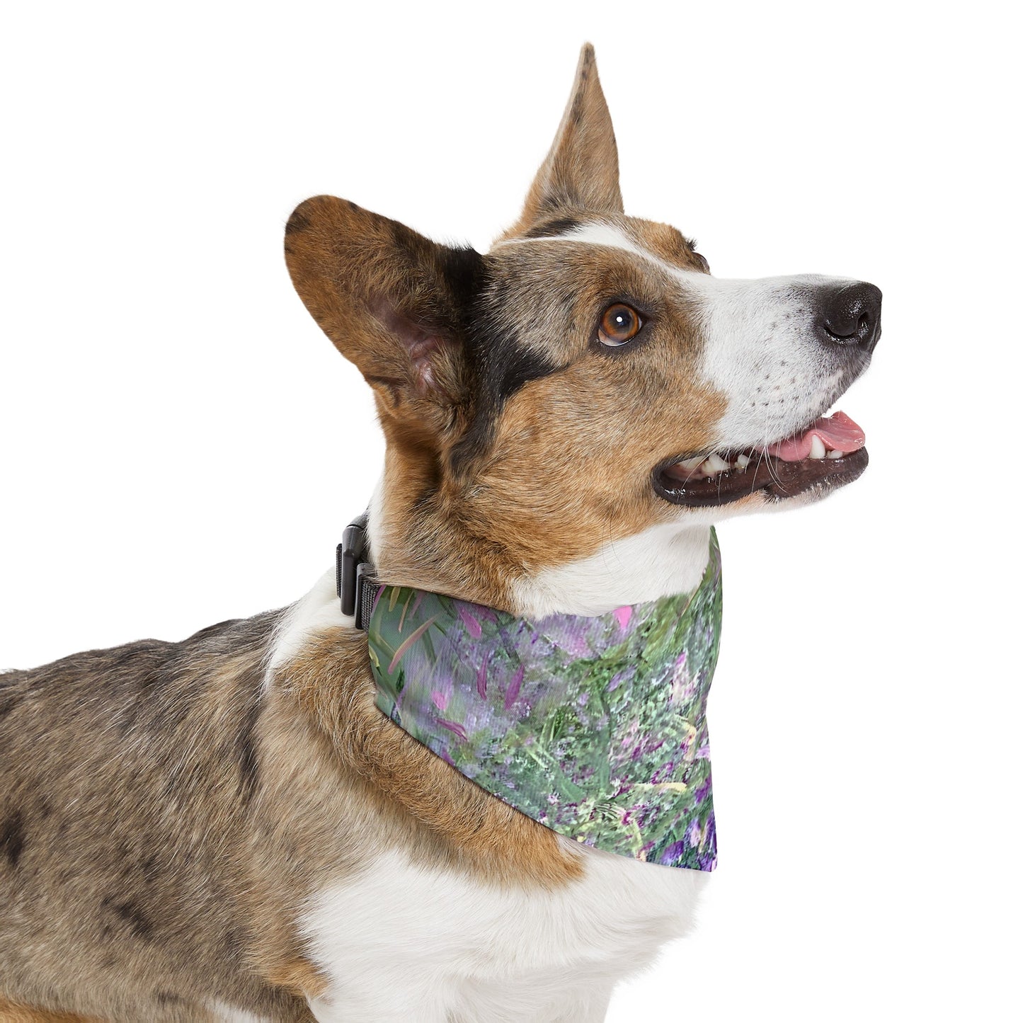 Pet Bandana Collar
