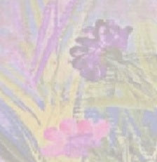 Special Order Paintings