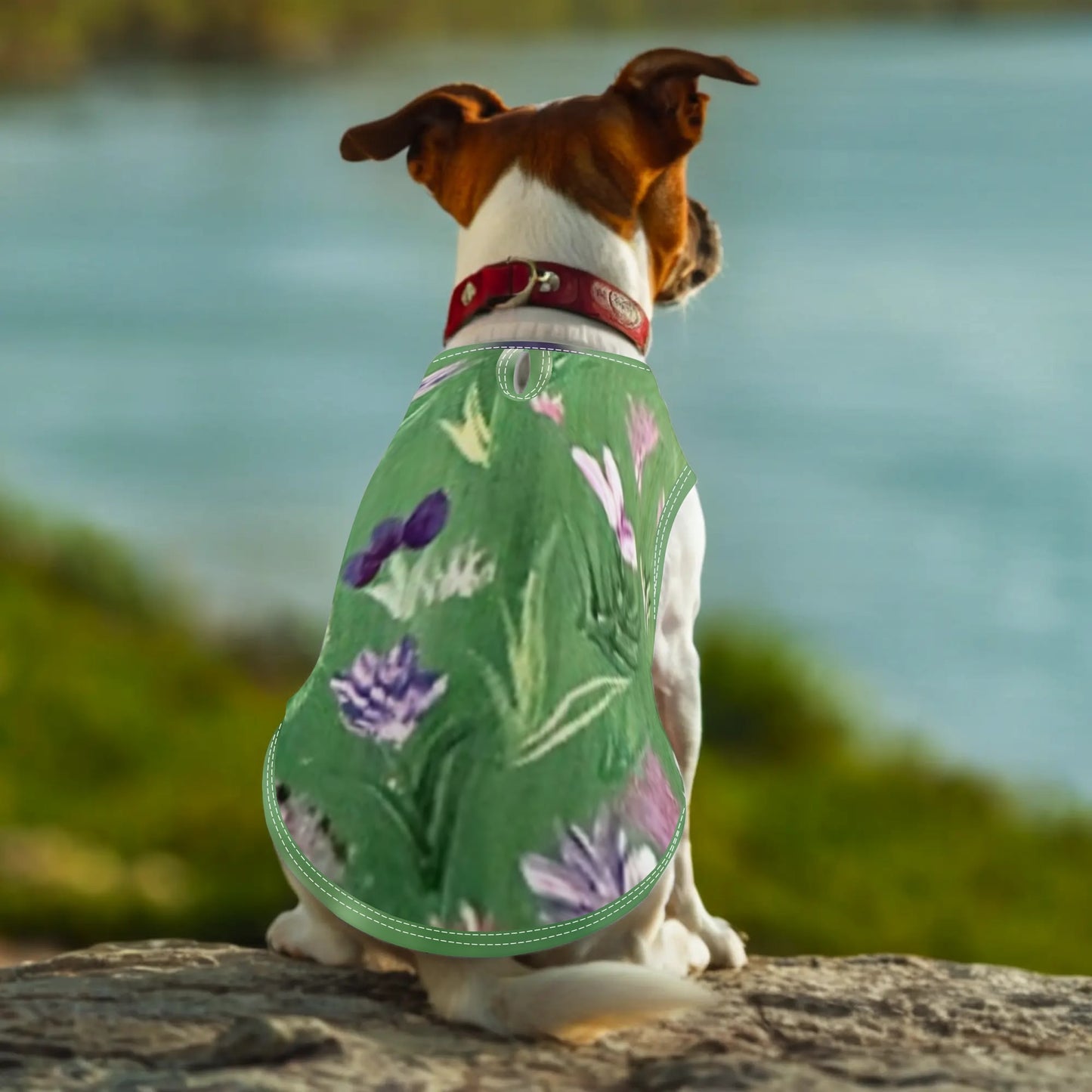 Pet Shirt Clothing for Small Medium Dogs Cats