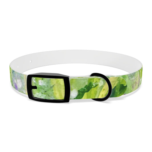 Dog Collar