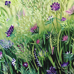 Wildflower Meadow