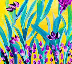 Yellow & Purple